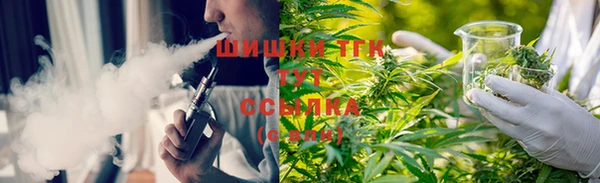 сатива Лагань