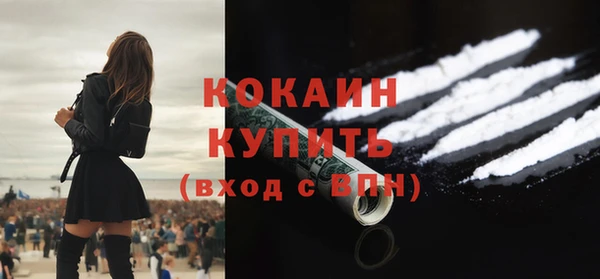 не бодяженный Ладушкин